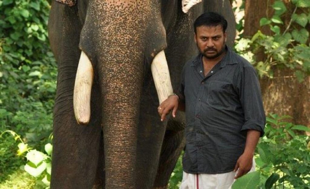 மீண்டும் யானையுடன் களமிறங்கும் பிரபு சாலமன்